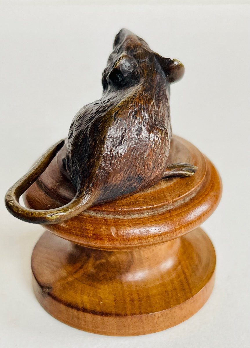 Souris Bronze De Vienne -photo-3